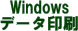 Windows�f�[�^���